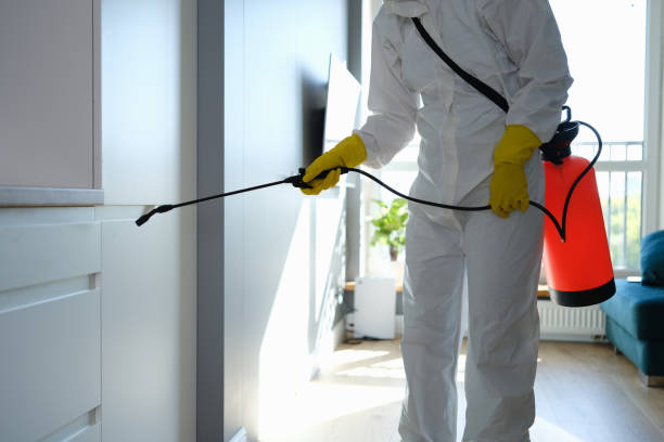 Best Commercial Mold Removal  in Gibbsboro, NJ